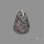 Stingray Black Fossil Coral Cabochon