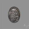 Stingray Black Fossil Coral Cabochon
