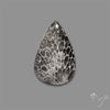 Stingray Black Fossil Coral Cabochon
