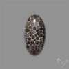 Stingray Black Fossil Coral Cabochon