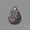 Stingray Black Fossil Coral Cabochon