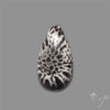 Stingray Black Fossil Coral Cabochon
