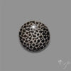 Stingray Black Fossil Coral Cabochon