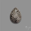 Stingray Black Fossil Coral Cabochon