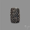 Stingray Black Fossil Coral Cabochon