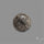 Stingray Black Fossil Coral Cabochon