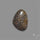 Stingray Black Fossil Coral Cabochon