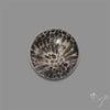Stingray Black Fossil Coral Cabochon
