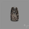 Stingray Black Fossil Coral Cabochon