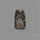 Stingray Black Fossil Coral Cabochon