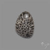 Stingray Black Fossil Coral Cabochon