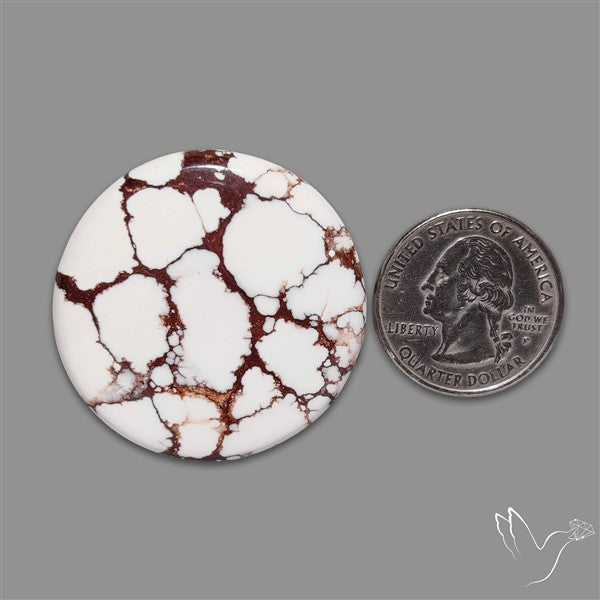 Wild Horse Jasper Cabochon