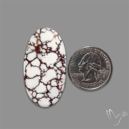 Wild Horse Jasper Cabochon