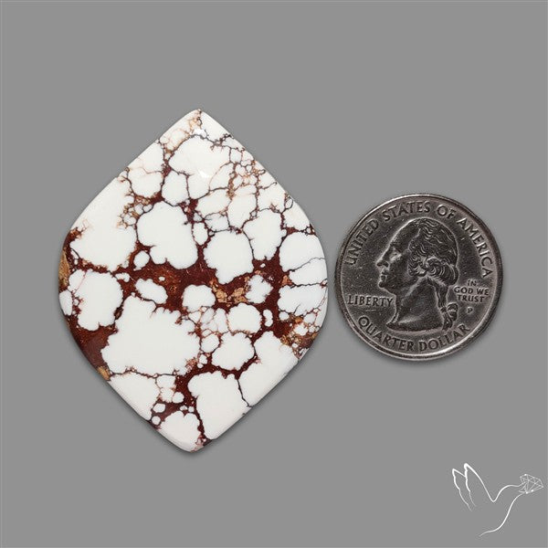 Wild Horse Jasper Cabochon