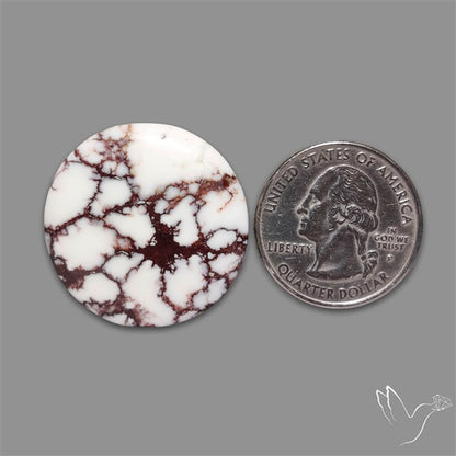 Wild Horse Jasper Cabochon