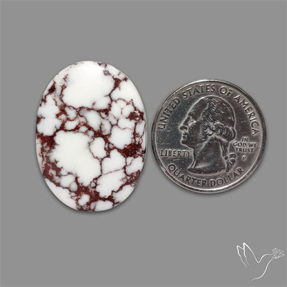 Wild Horse Jasper Cabochon