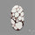 Wild Horse Jasper Cabochon