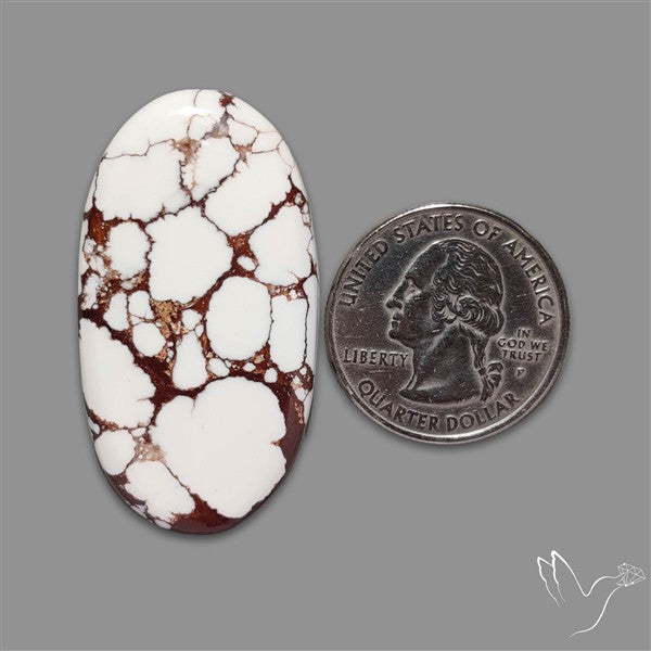 Wild Horse Jasper Cabochon