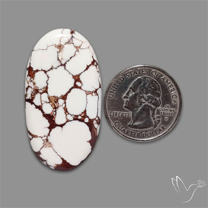 Wild Horse Jasper Cabochon