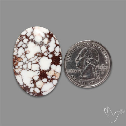 Wild Horse Jasper Cabochon