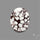 Wild Horse Jasper Cabochon