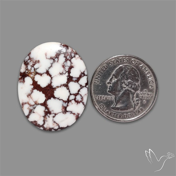 Wild Horse Jasper Cabochon