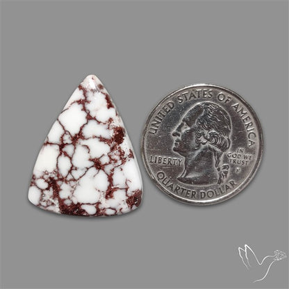 Wild Horse Jasper Cabochon