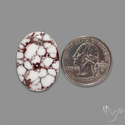 Wild Horse Jasper Cabochon