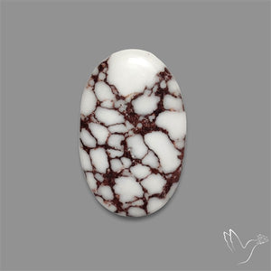 Wild Horse Jasper Cabochon