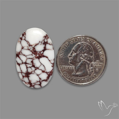 Wild Horse Jasper Cabochon