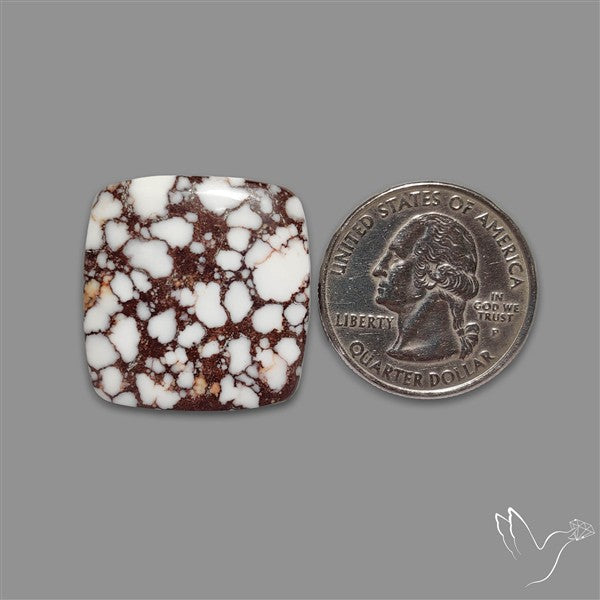 Wild Horse Jasper Cabochon