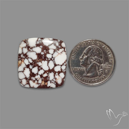 Wild Horse Jasper Cabochon