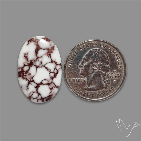 Wild Horse Jasper Cabochon