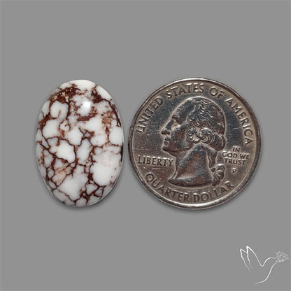 Wild Horse Jasper Cabochon