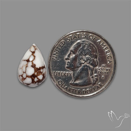 Wild Horse Jasper Cabochon