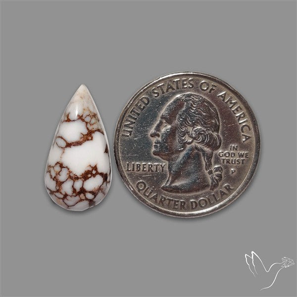 Wild Horse Jasper Cabochon