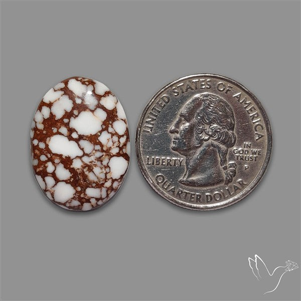 Wild Horse Jasper Cabochon