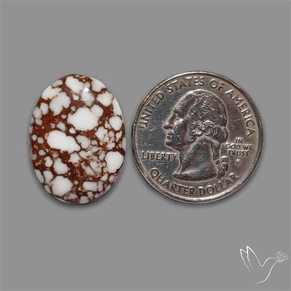 Wild Horse Jasper Cabochon