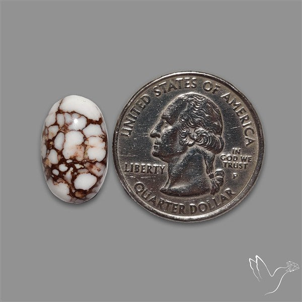 Wild Horse Jasper Cabochon