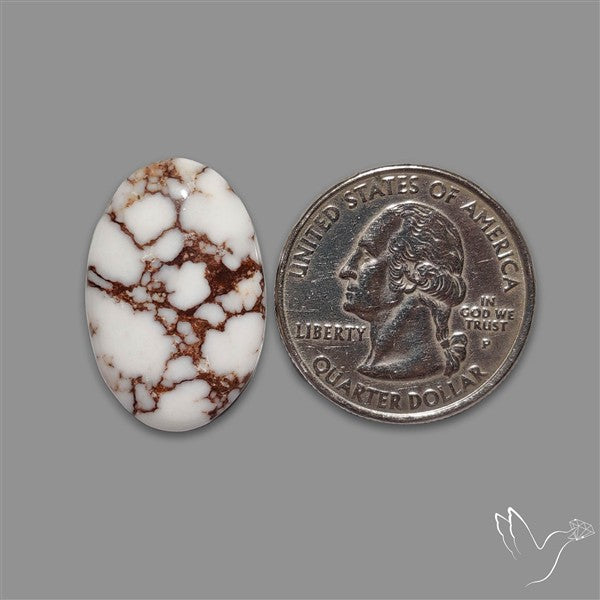 Wild Horse Jasper Cabochon