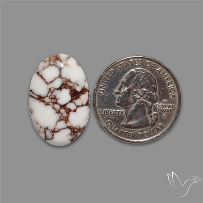 Wild Horse Jasper Cabochon