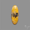 Bumble Bee Jasper Cabochon