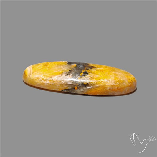 Bumble Bee Jasper Cabochon