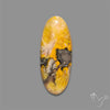 Bumble Bee Jasper Cabochon