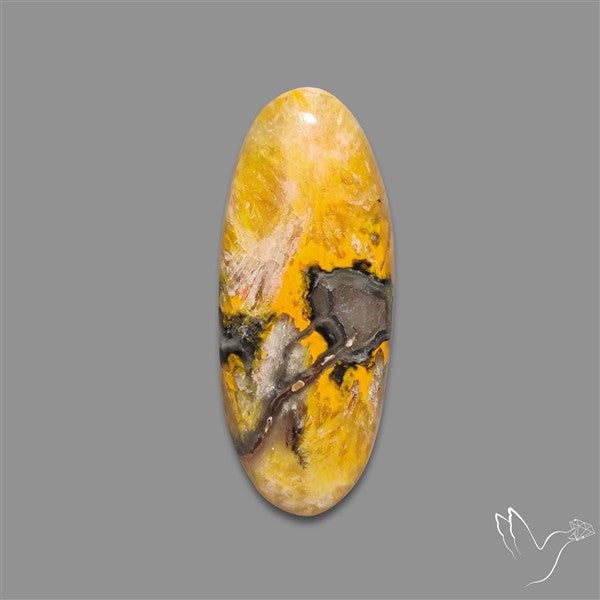 Bumble Bee Jasper Cabochon