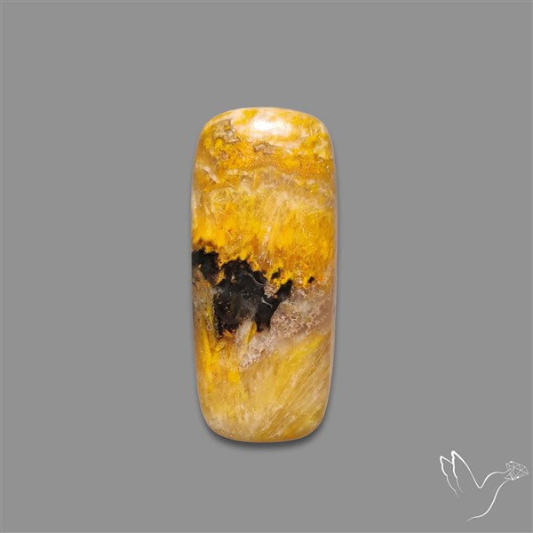 Bumble Bee Jasper Cabochon