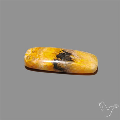 Bumble Bee Jasper Cabochon