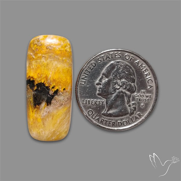 Bumble Bee Jasper Cabochon
