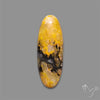 Bumble Bee Jasper Cabochon