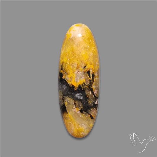 Bumble Bee Jasper Cabochon